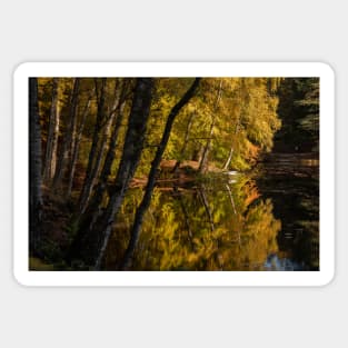 'Autumn Magic 3', Dunmore Loch, Pitlochry Sticker